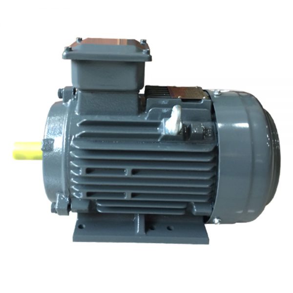 teco Food mounted cast iron frame motor