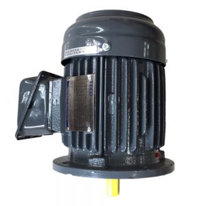 TECO Flange mounted cast iron