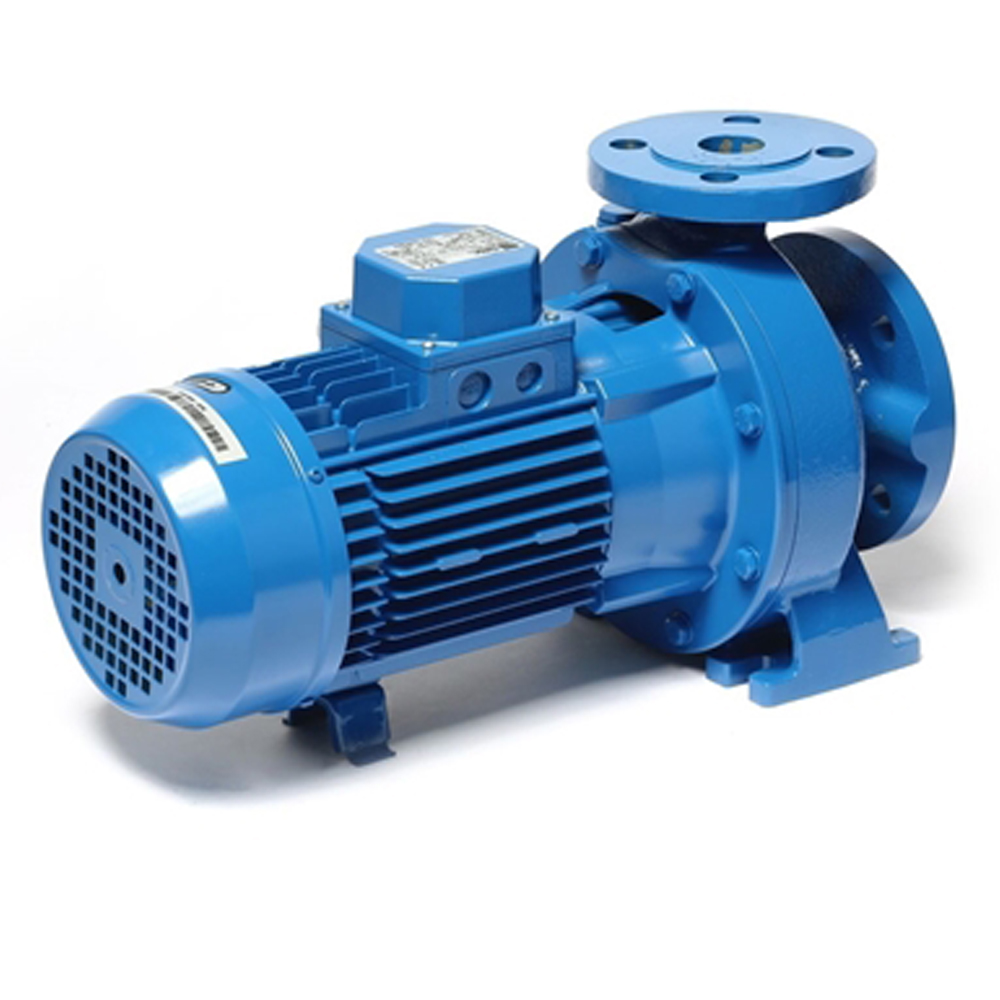 3D 40-125-1-5 ปั๊มเหล็กหล่อ - 3 สาย