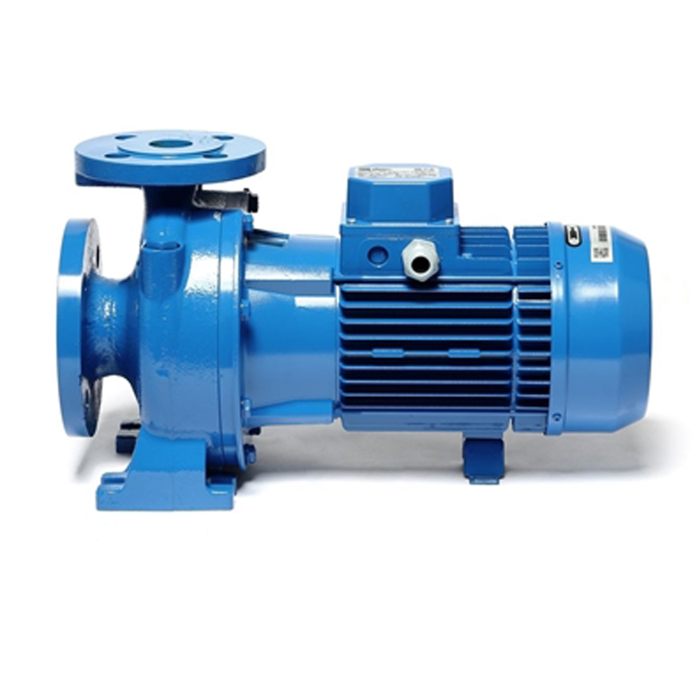 3D 40-125-1-5 ปั๊มเหล็กหล่อ - 3 สาย_02