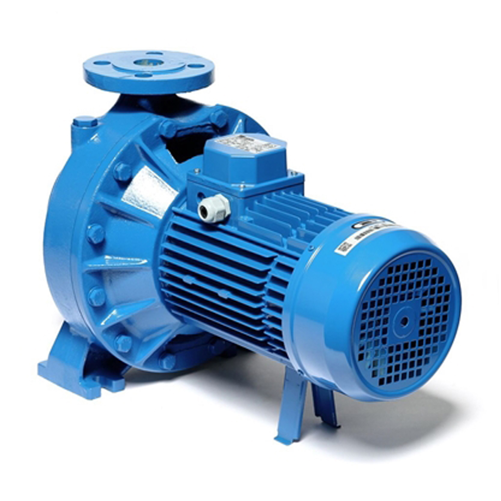 3D 65-200-22 ปั๊มเหล็กหล่อ - 3 สาย