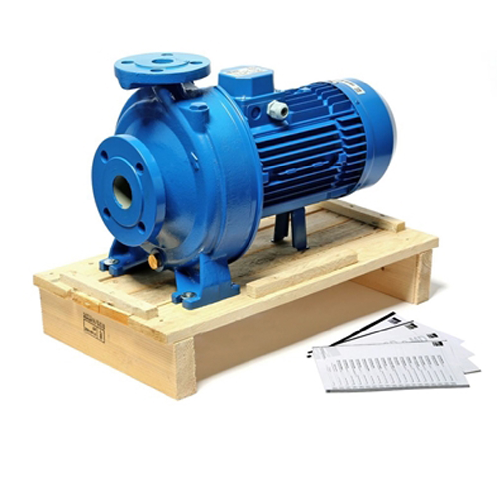 3D 65-200-22 ปั๊มเหล็กหล่อ - 3 สาย_02