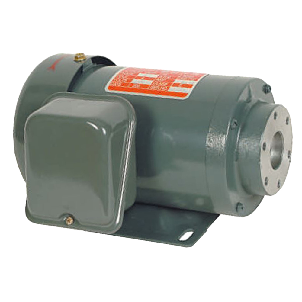 PMO-0-02 มอเตอร์แนวนอน CHEN YING