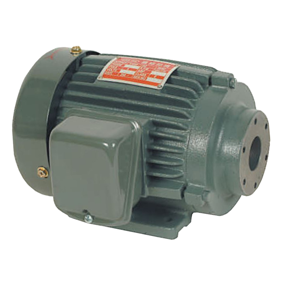 PMO-0-08 มอเตอร์แนวนอน CHEN YING