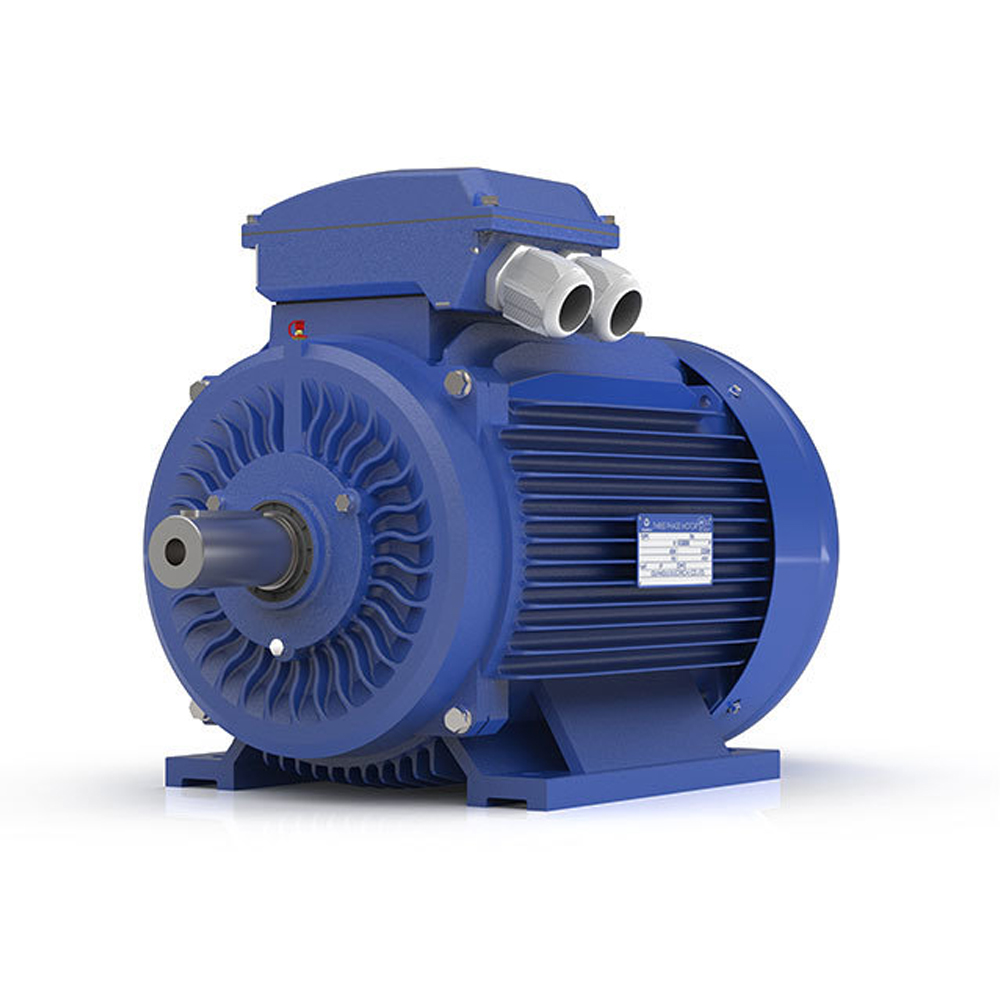 GUANGLU IE2 มอเตอร์ประสิทธิภาพสูง ขาตั้ง B3 25HP 380V 2,4,6 Pole_02