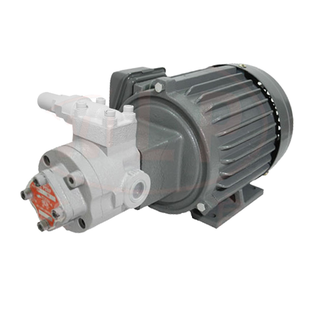 WLP ROP-206HAM-vb ออยล์ปั้มพร้อมมอเตอร์