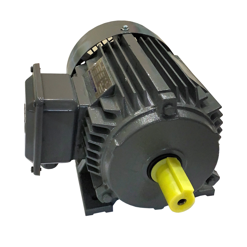 IE2-AEEVX3 มอเตอร์ขาตั้งกล่องข้าง 5.5HP-380V