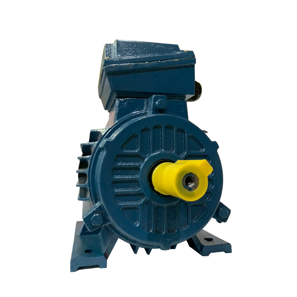 HASCON IE2 HE2 SERIES มอเตอร์ไฟฟ้าเหล็กหล่อ ขาตั้ง 30HP 380V 2,4,6 Pole