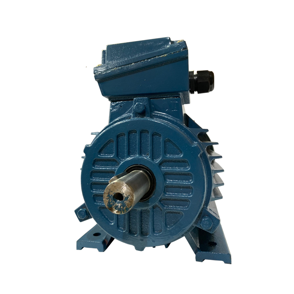 HASCON IE2 HE2 SERIES มอเตอร์ไฟฟ้าเหล็กหล่อ ขาตั้ง 40HP 380V 2,4,6 Pole