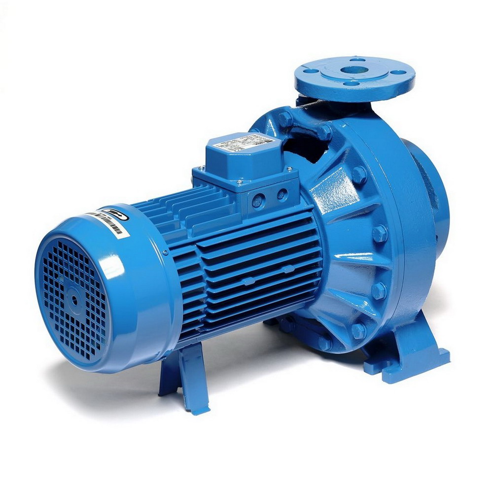 EBARA 3D 65-160-9-2 ปั๊มน้ำหอยโข่งเหล็กหล่อ 12-5HP_1